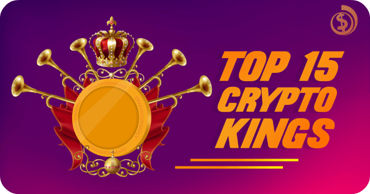 Top 15 Crypto Kings Infographic