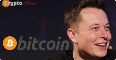 Elon Musk Bitcoin Comments