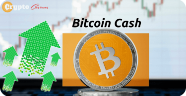 Bitcoin Cash Surged