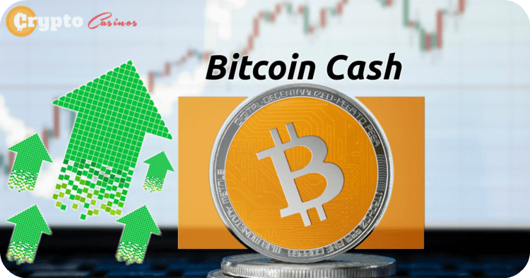 Bitcoin Cash Surged