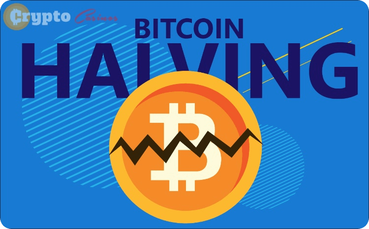 What Is Bitcoin Halving Infographic A Descriptive Infographic