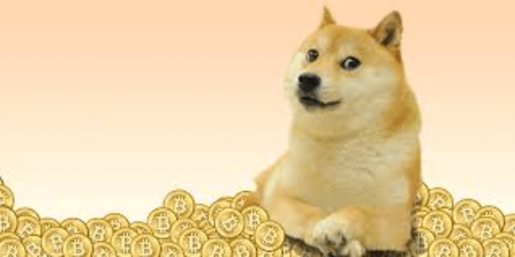 Using DOGE as a gambling payment method