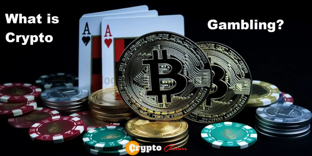 Can You Gamble with Cryptocurrency_ Crypto Gambling